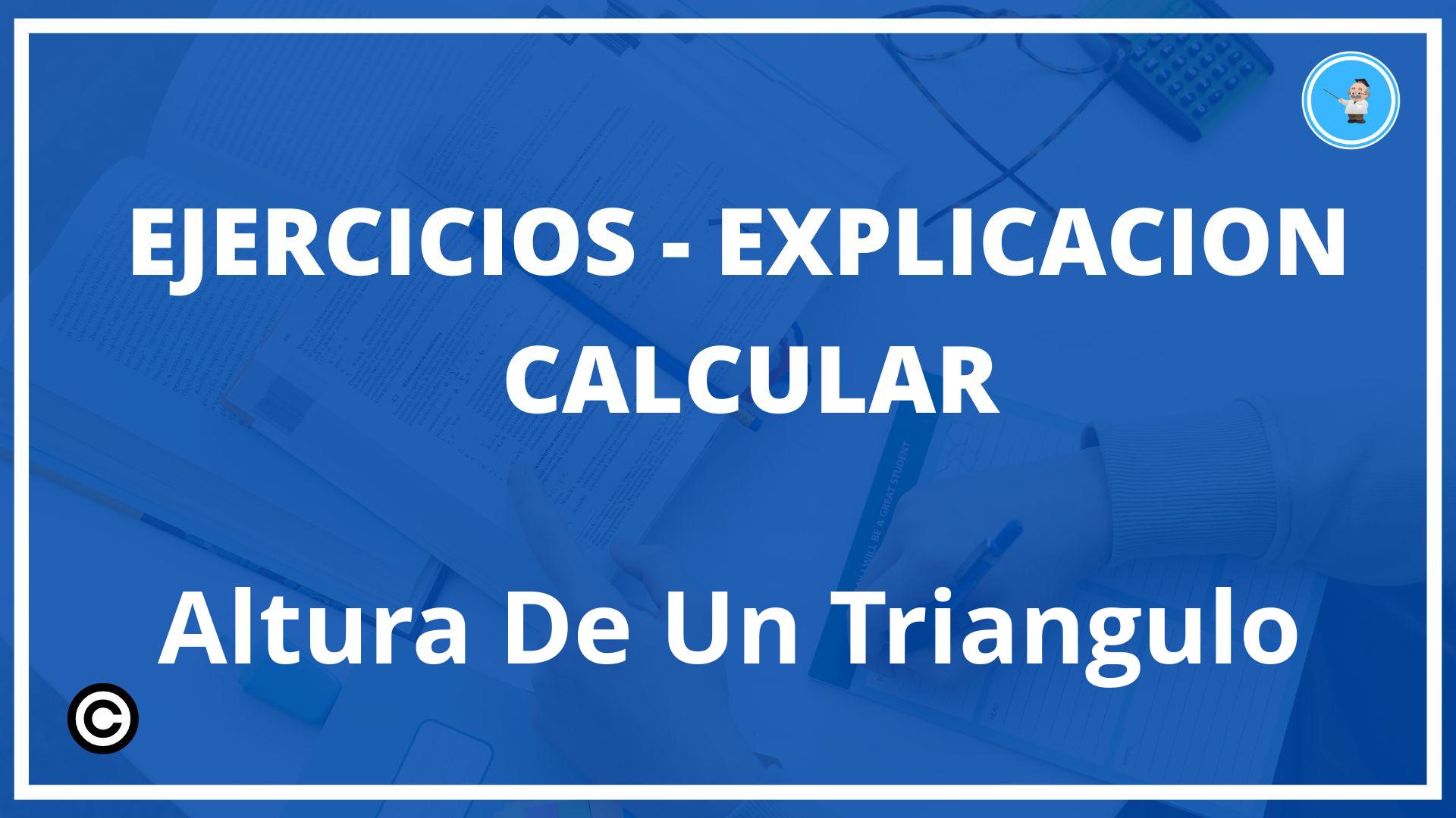 Ejercicios Calcular Altura De Un Triangulo PDF