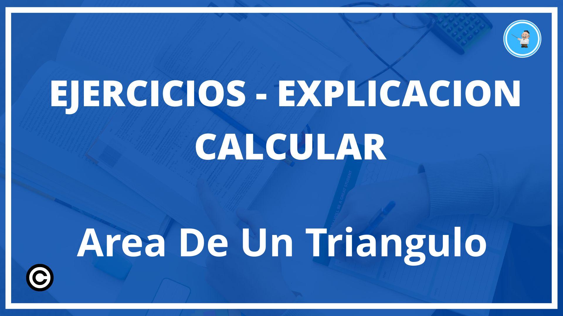 Ejercicios Calcular Area De Un Triangulo PDF