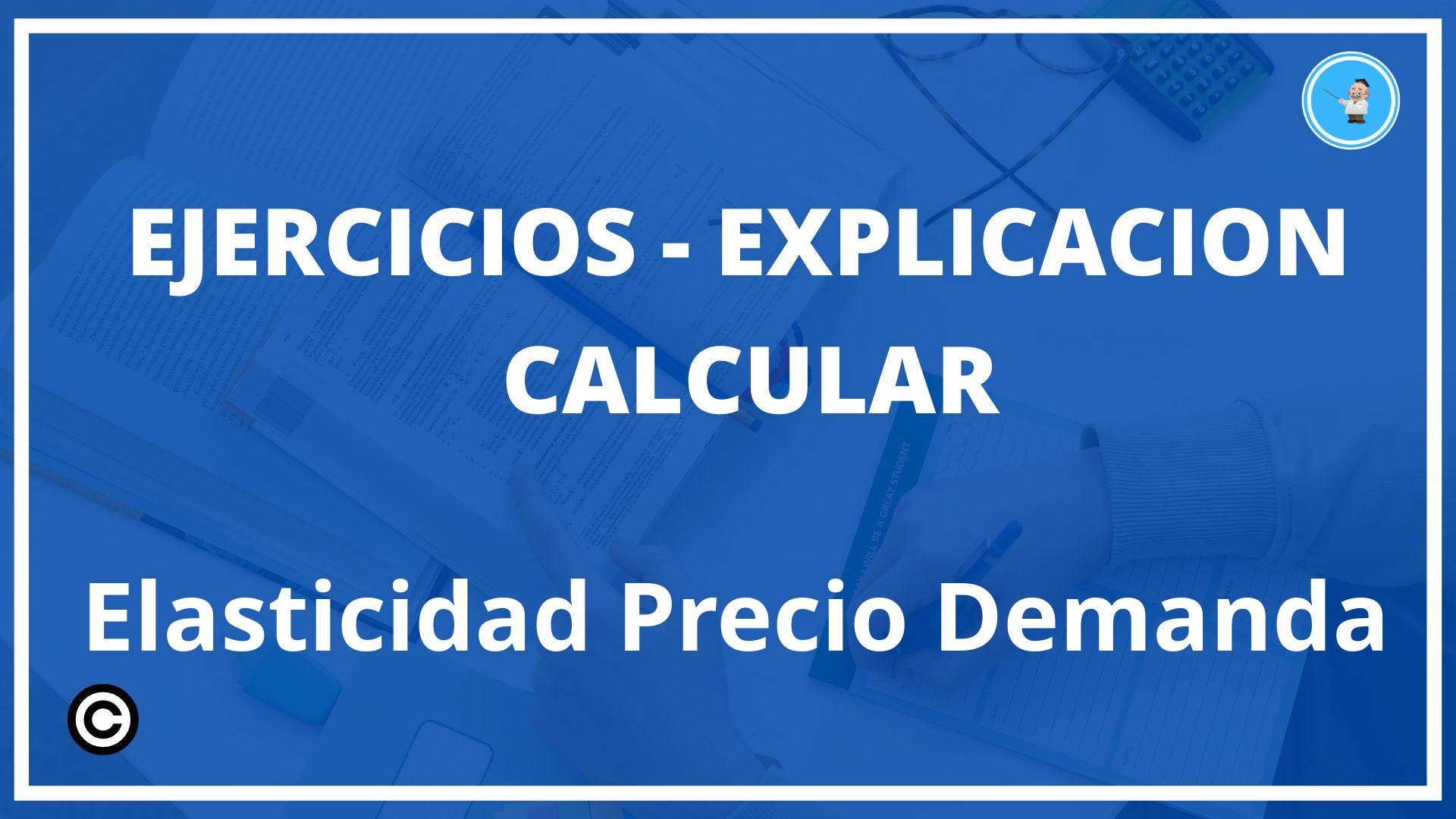 Ejercicios Calcular Elasticidad Precio Demanda PDF