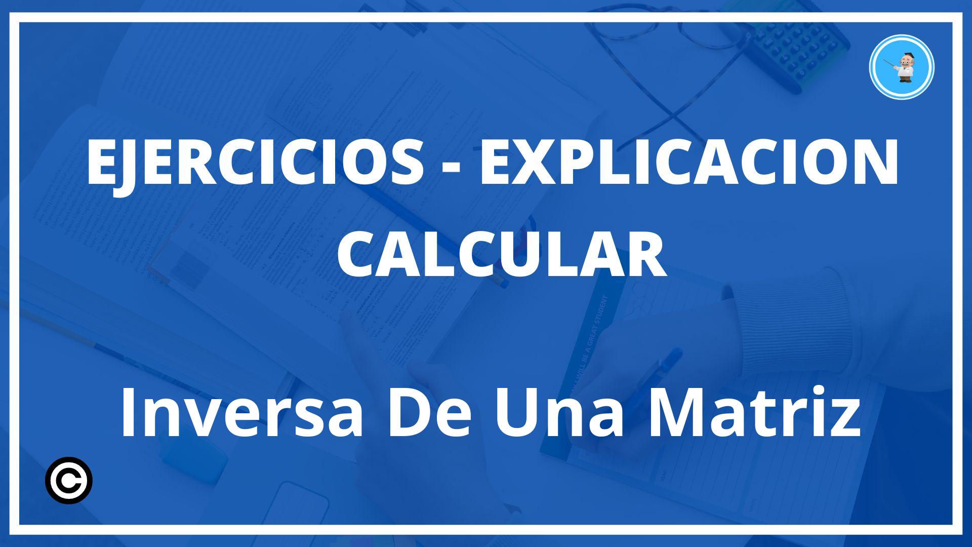 Ejercicios Calcular Inversa De Una Matriz PDF
