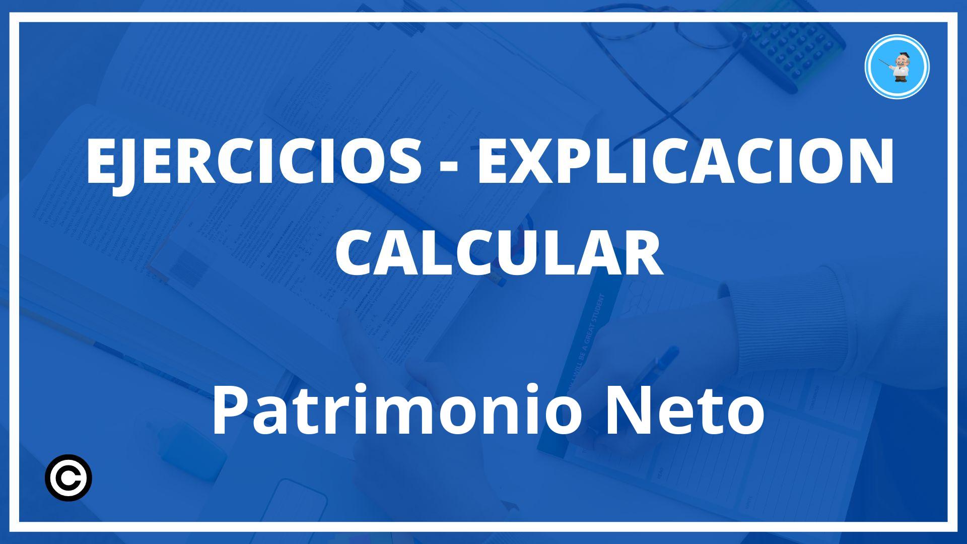 Ejercicios Calcular Patrimonio Neto PDF