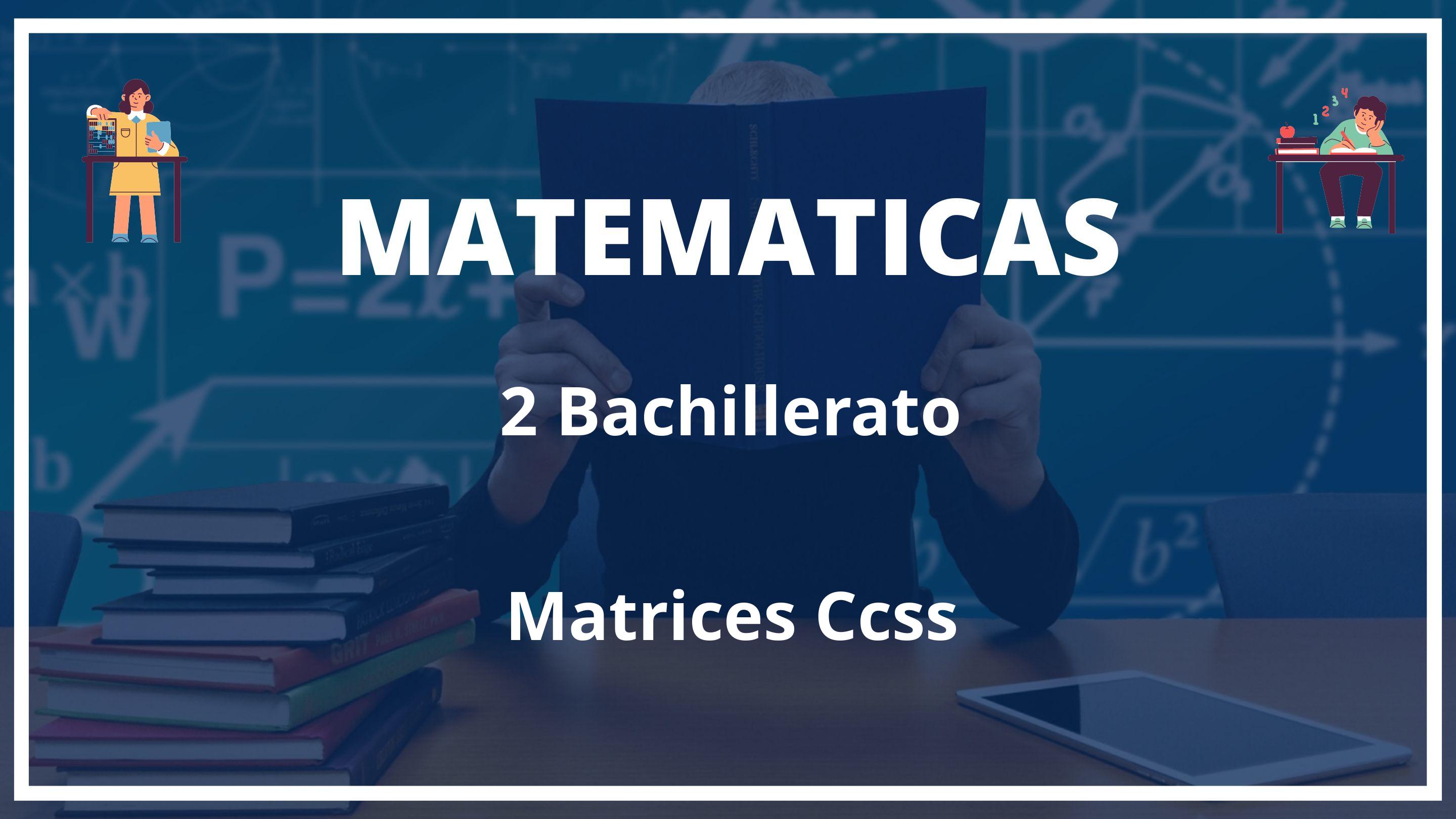Matrices Ccss 2 Bachillerato