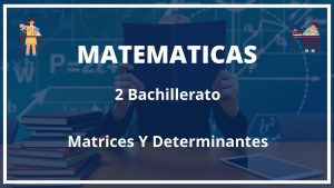 Ejercicios Matrices Y Determinantes 2 Bachillerato Con Soluciones PDF